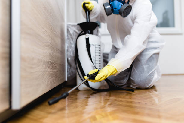 Best Bed Bug Extermination  in Wildwood, FL