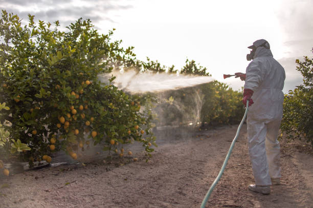 Flea Control Services in Wildwood, FL