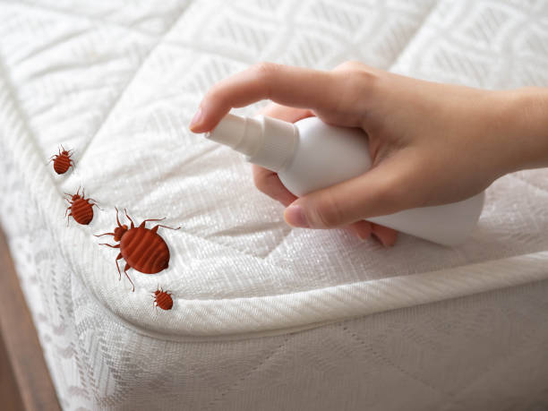 Wildwood, FL Pest Control Company