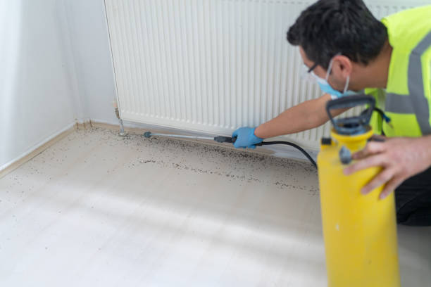 Best Best Pest Control Near Me  in Wildwood, FL