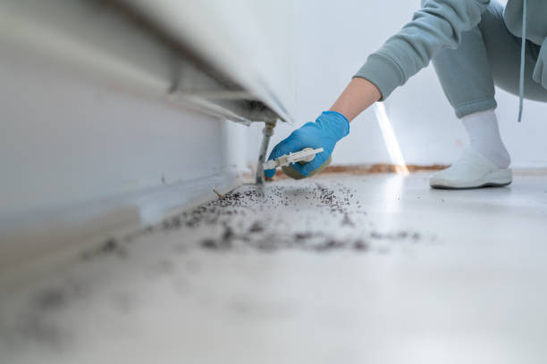 Best Pest Control Near Me in Wildwood, FL