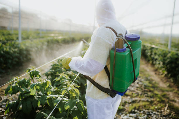 Pest Control for Restaurants in Wildwood, FL